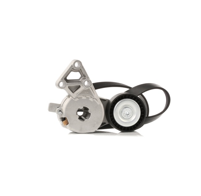 RIDEX 542R0649 Kit cinghia servizi VW Passat B6 Variant 2.0 FSI 4motion 150 CV Benzina 2010