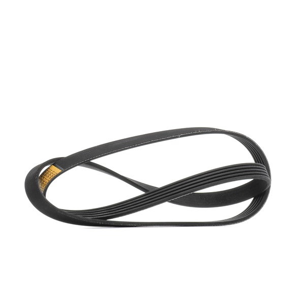 RIDEX A0019932996 Correia trapezoidal estriada 305P0505