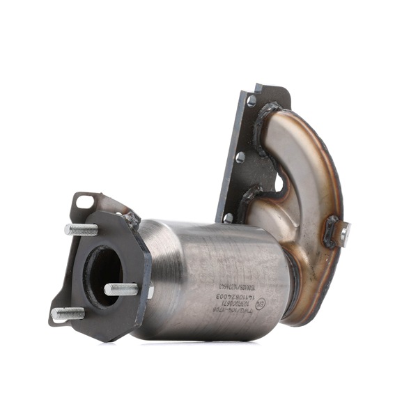 RIDEX 429C0814 katalysator 03D253052X