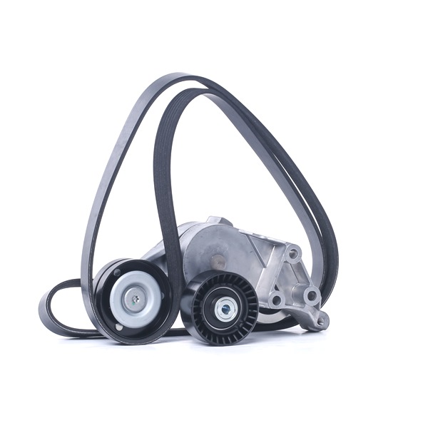 RIDEX 542R0660 Zestaw paska klinowego wielorowkowego VW Bora 1j2 1.9 TDI 110 KM olej napędowy 1999