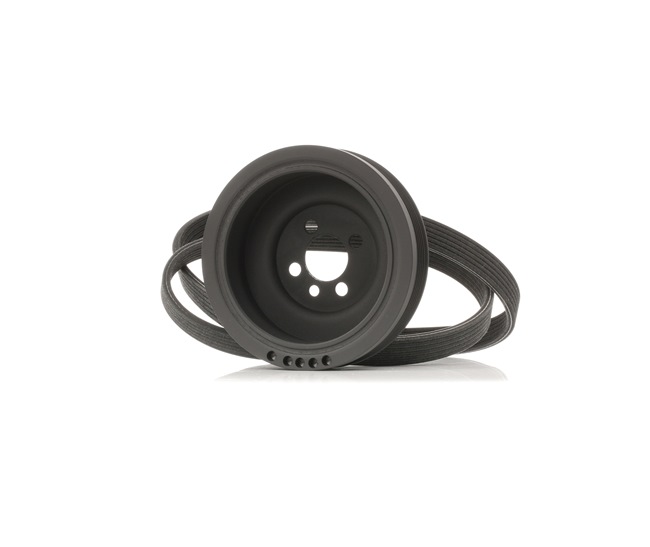 RIDEX 542R0661 Ķīļrievu siksnu komplekts Golf 4 1.9 TDI 90 ZS Dīzelis 2003