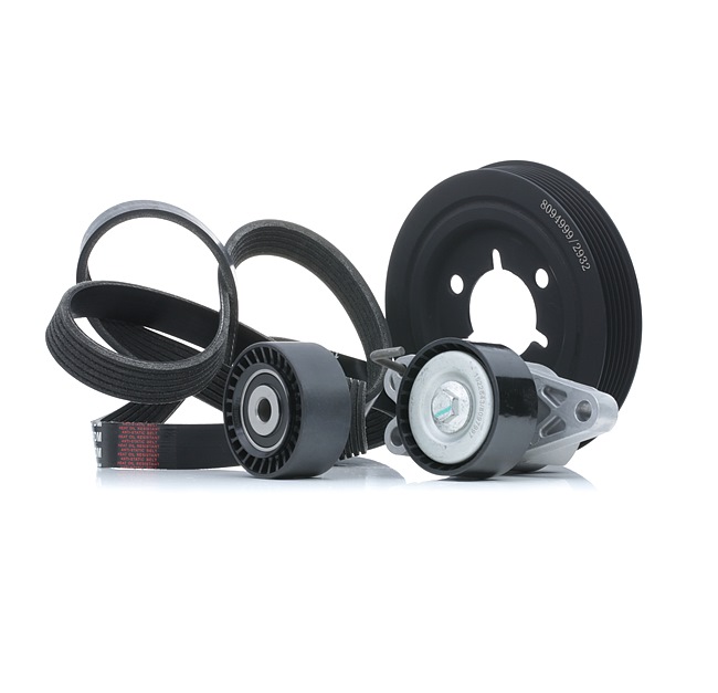 RIDEX 542R0663 poly v-riem set 96 53 771 880