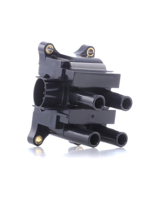 RIDEX 689C0408 FORD USA Zündspule Kosten