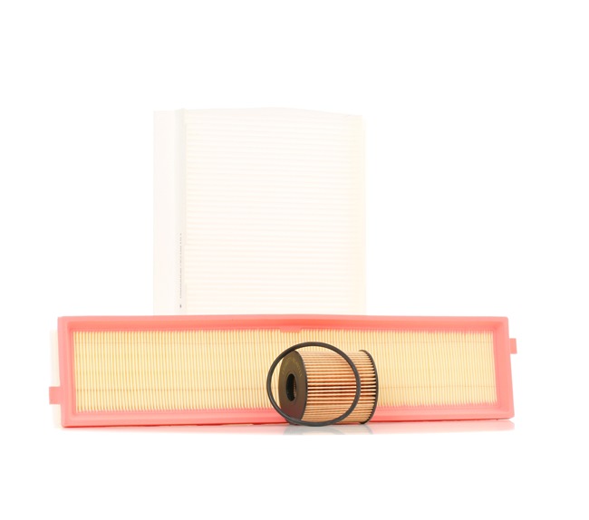 RIDEX 4055F0388 Filter - sada MINI Hatchback (R50, R53) 1.6 Cooper S 170 KS Benzín 2006