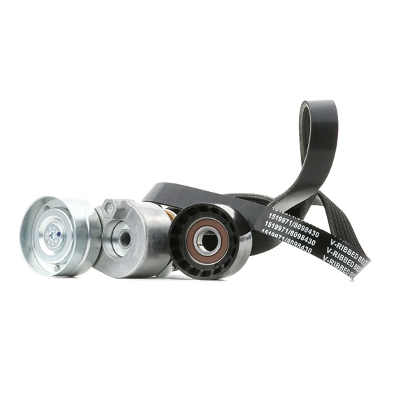 RIDEX 11750 00Q1C Moniurahihnasarja 542R0667