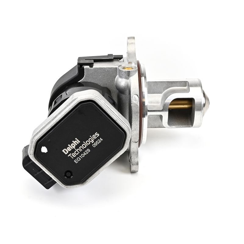 DELPHI EG10429-12B1 Válvula EGR Mercedes W169 2004 originales precio