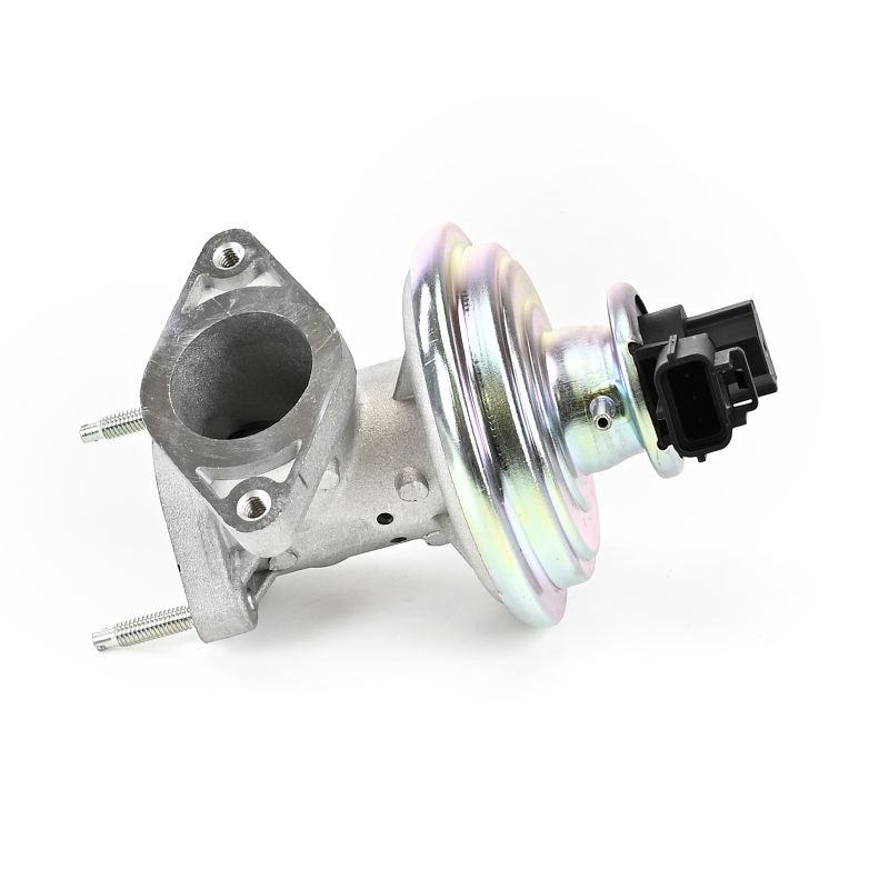 Válvula EGR DELPHI FORD TRANSIT CUSTOM EG10491-12B1