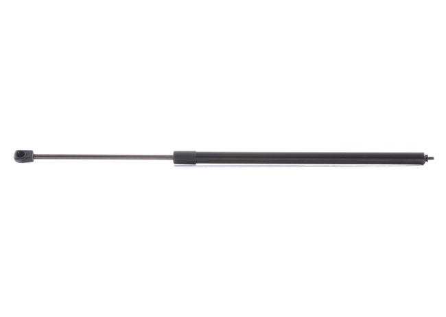 RIDEX 514G0163 gasveer motorkap A203 880 0029