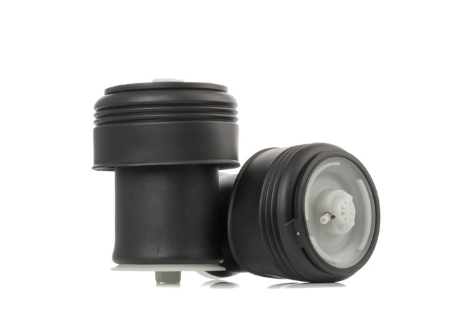 RIDEX 4119A0089 1A-Qualität und faire Preise