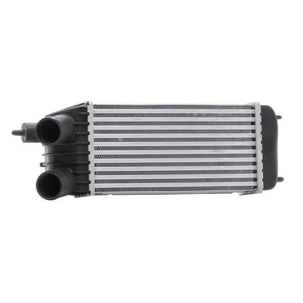 STARK SKICC-0890514 Kvalitet & fair priser