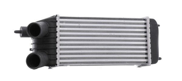 RIDEX 468I0399 intercooler CITROËN Jumpy II Flatvogn lastebil/Chassis 1.6 HDi 16V 90 hk Diesel 2011