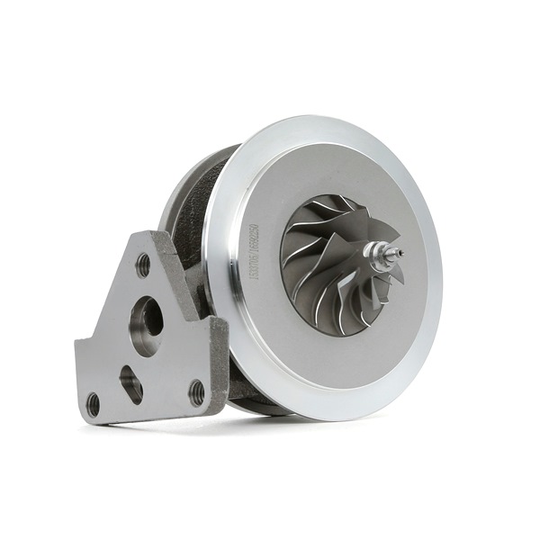RIDEX 4973C0119 Turbokompresorius VW Touareg 7L 2.5 R5 TDI 174 AG dyzelinas 2009