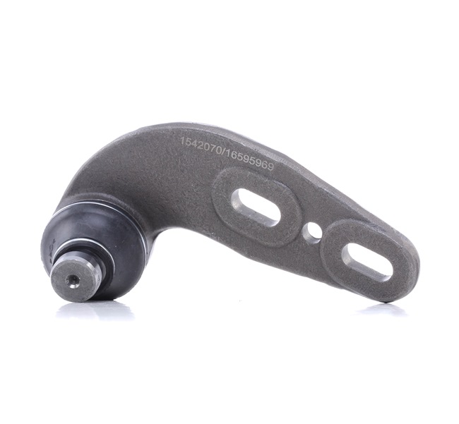 RIDEX 2462S0496 fuseekogel 893 505 365 C