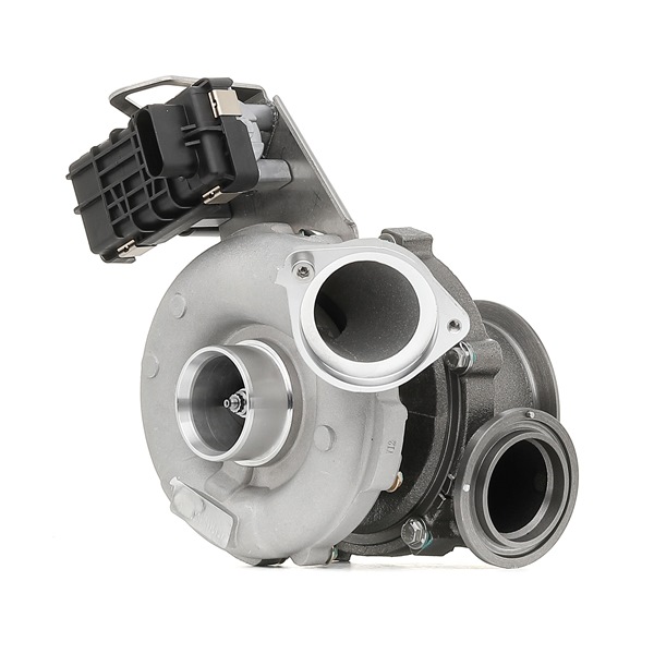 RIDEX 2234C10608 turbocharger 7796312