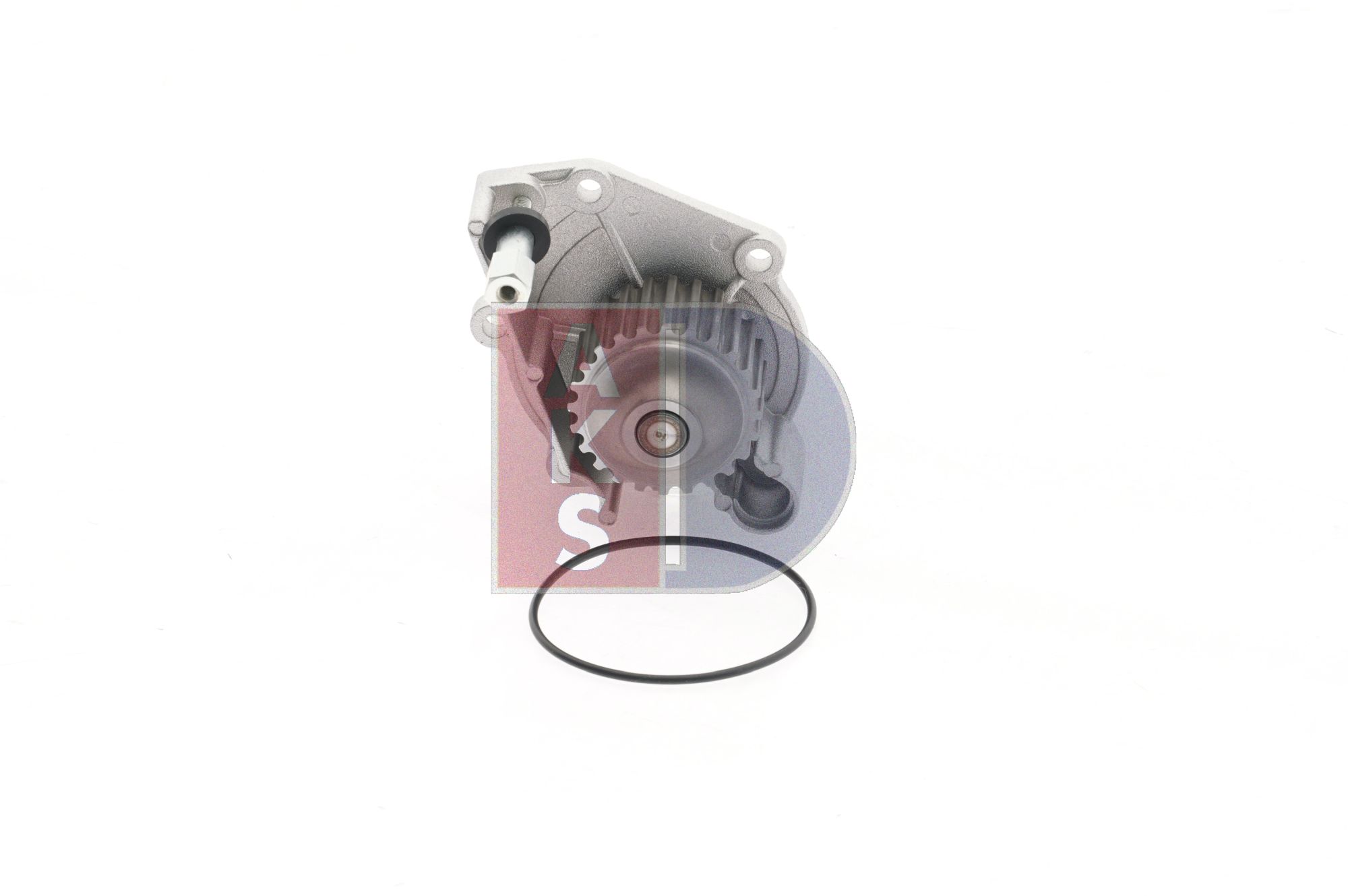 AKS DASIS PEB 102510L Pompe à eau 570425N