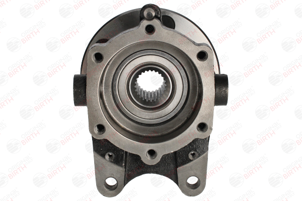 BIRTH 3673 Cubo da roda Land Rover Range Rover 2 4.6 4x4 224 cv Gasolina 2002