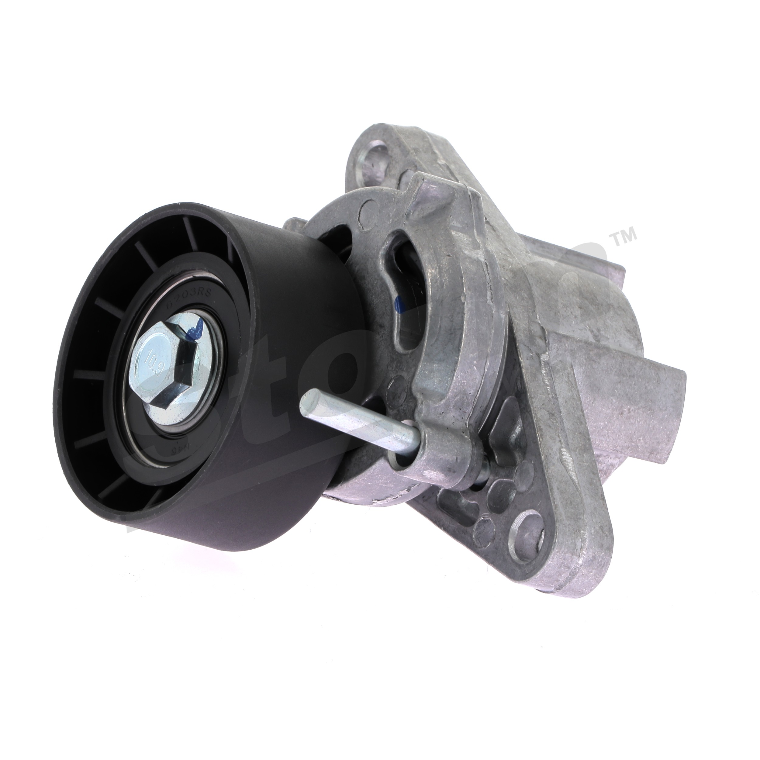STORM QUALITY PARTS 106191 Tendicinghia, cinghia poly-v Dacia Logan Express 1.6 MPI 85 84 CV Benzina 2017