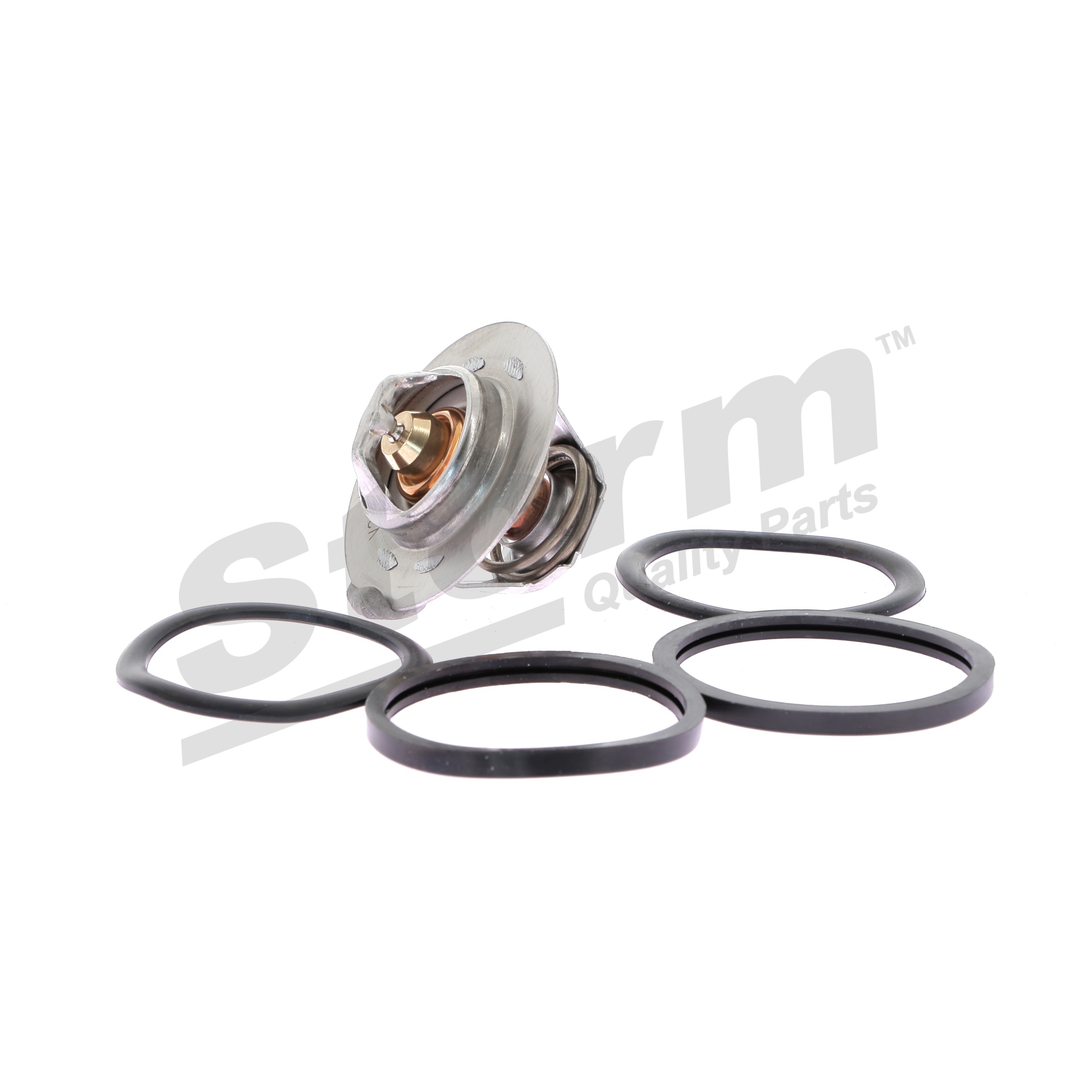 STORM QUALITY PARTS 199026 Termostat Renault Megane Scenic 1.9 dT (JA0Y) 94 KM olej napędowy 1999