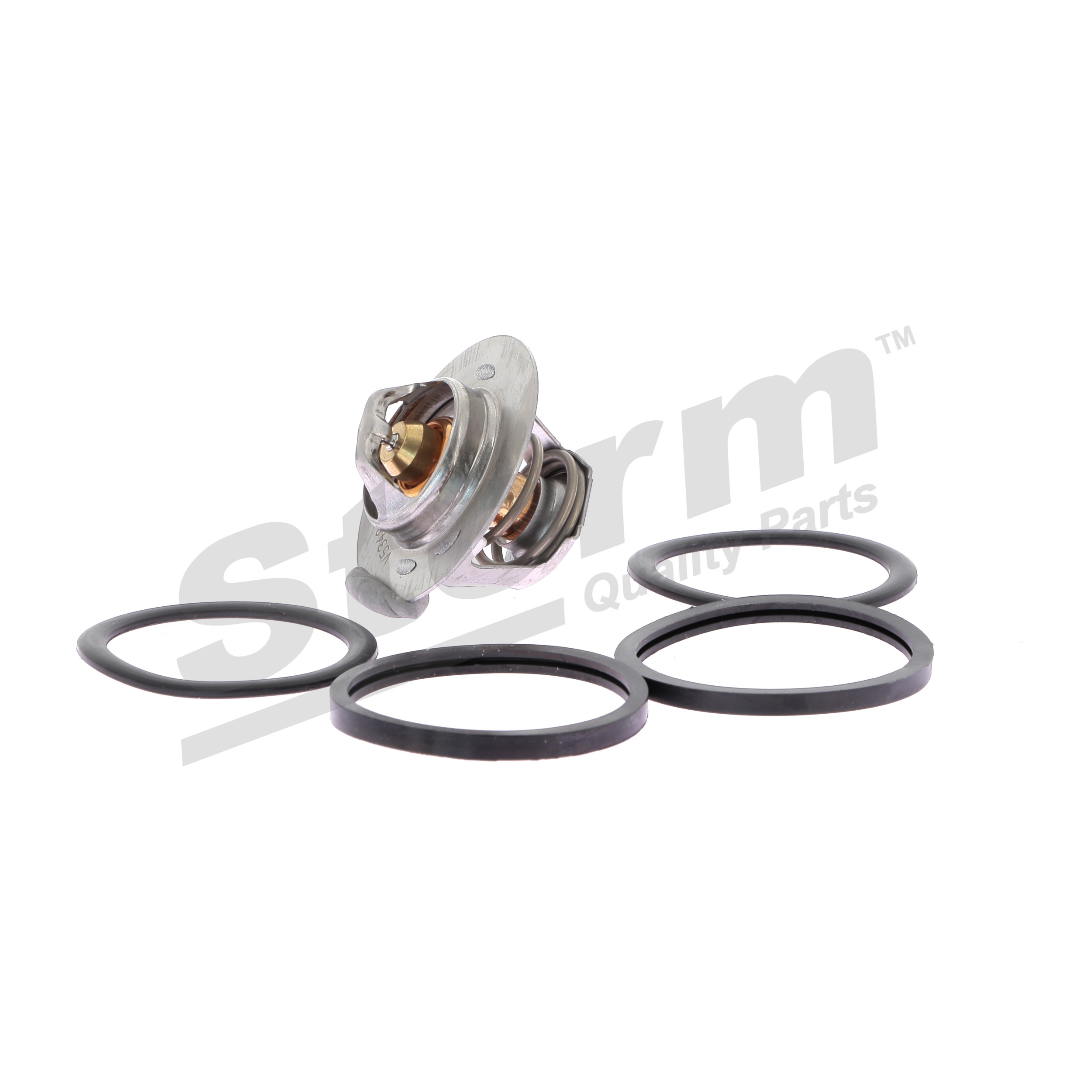 STORM QUALITY PARTS 199027 Thermostat Renault Megane Scenic 1.9 dT (JA0Y) 94 AG dyzelinas 1999