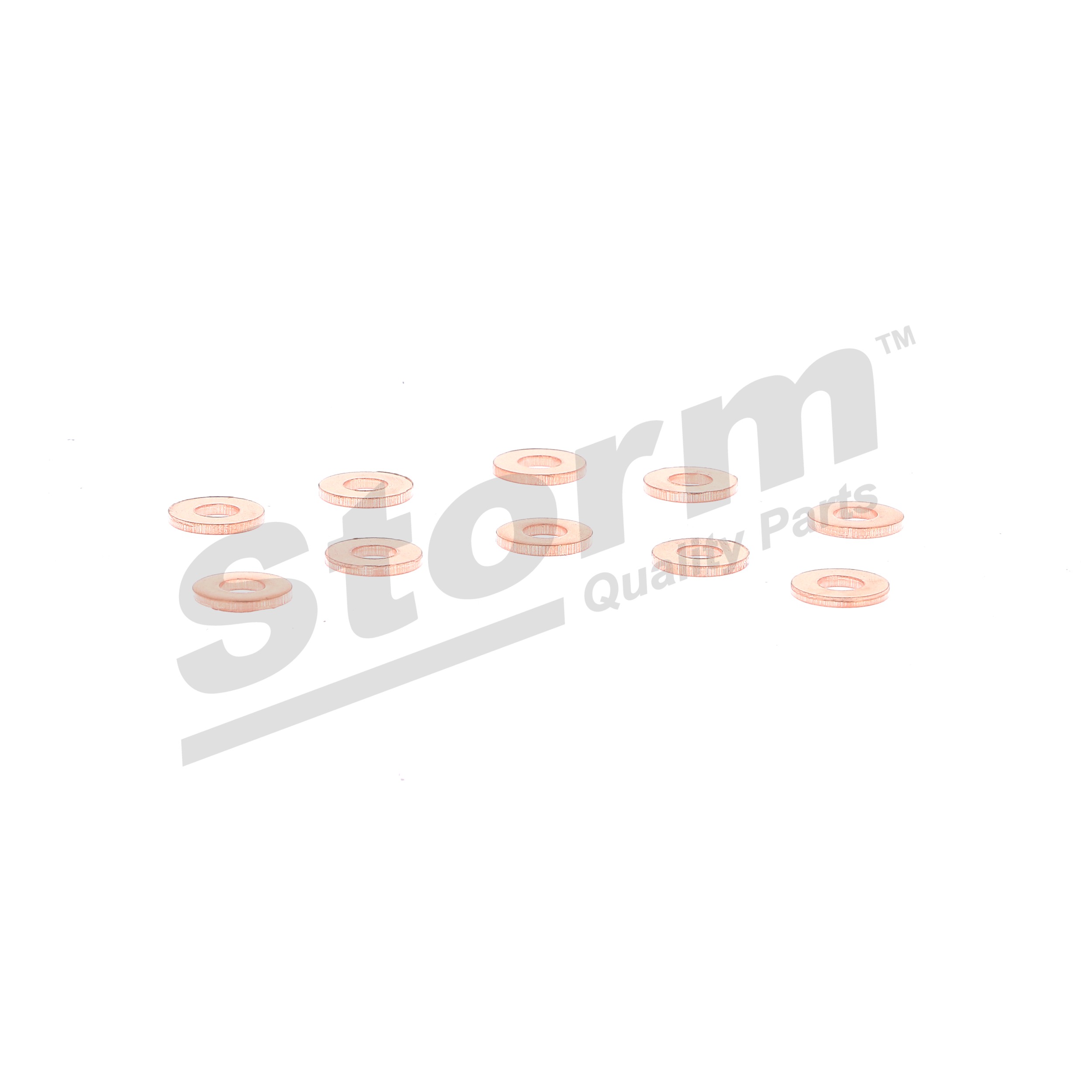 STORM QUALITY PARTS 46000000616 Tesnilno obroc, nosilec sobe CADILLAC BLS Sedan 1.9 D 150 km Dizel 2025
