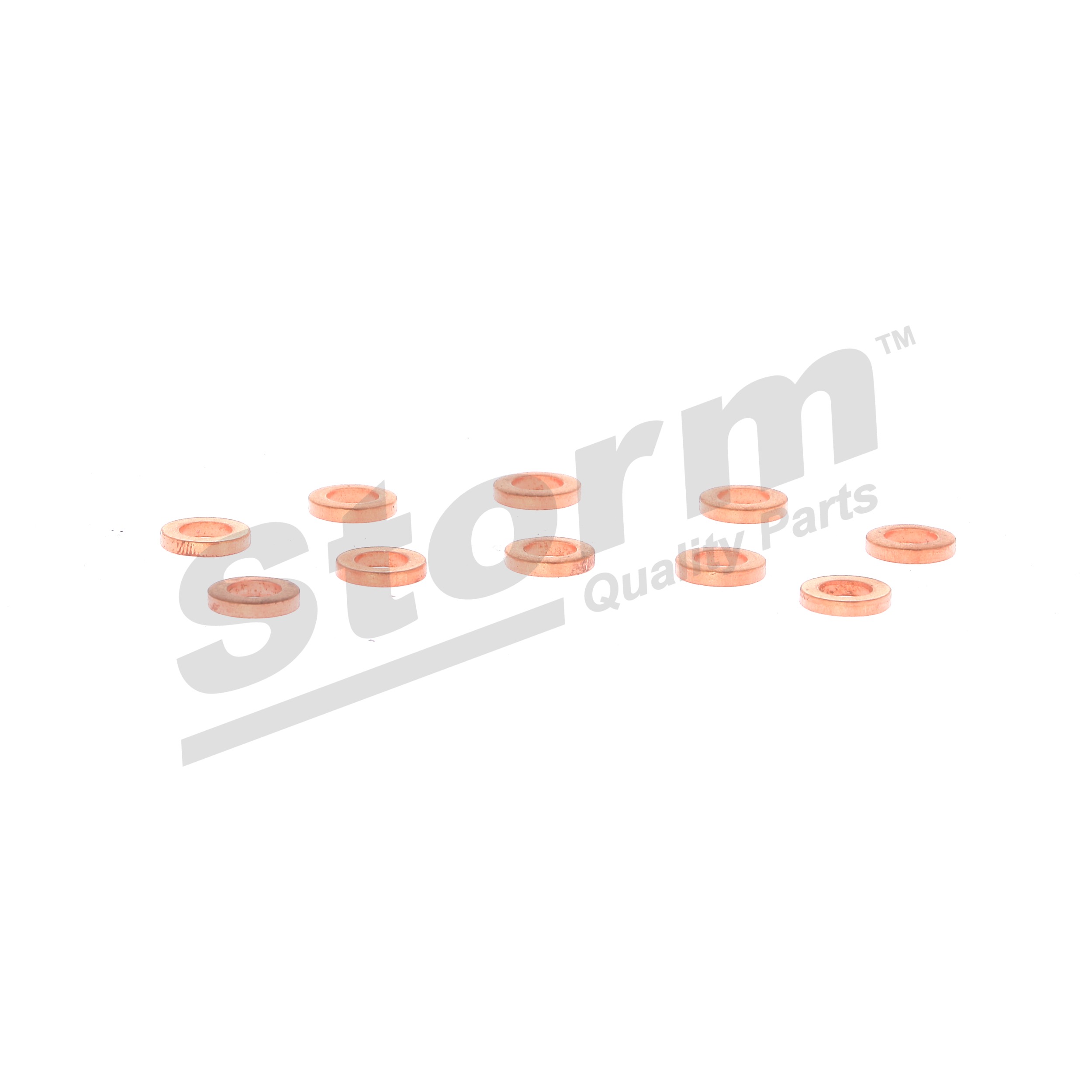 STORM QUALITY PARTS 46000000916 Tesnilno obroc, nosilec sobe Passat 3b5 2.5 TDI Syncro/4motion 150 km Dizel 2000