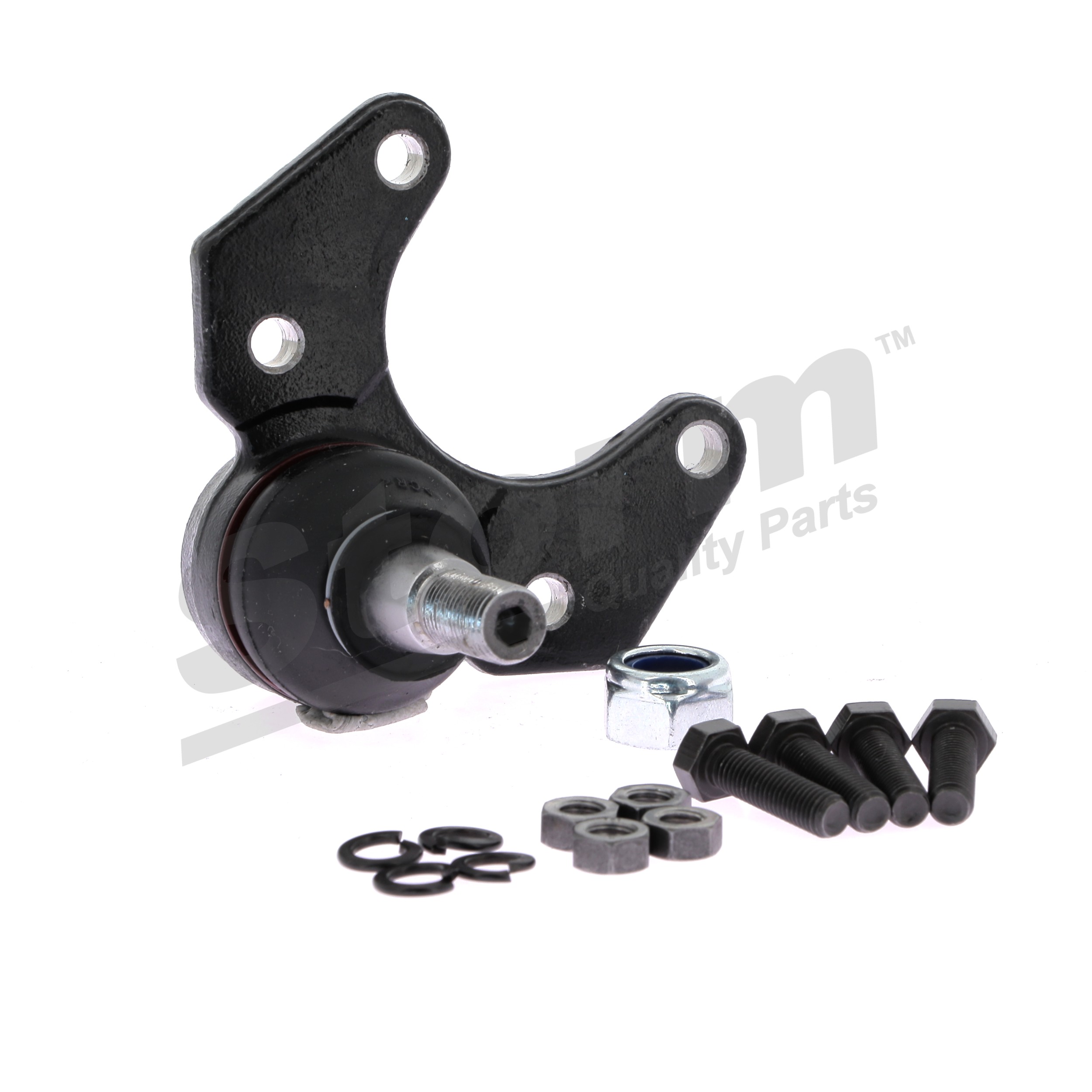 STORM QUALITY PARTS 83786 Šarnyras ALPINE V6 I TURBO 185 AG benzinas 1987