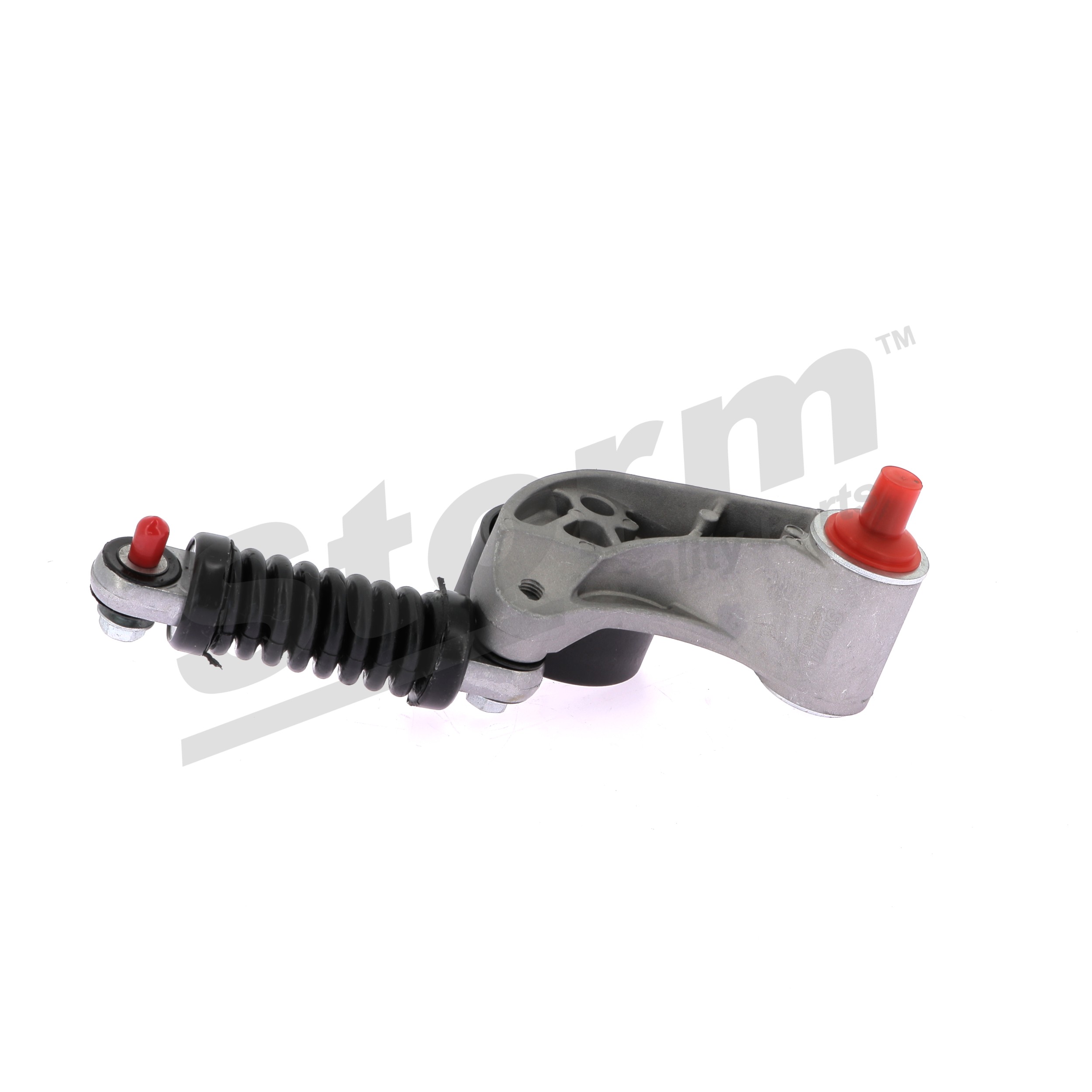 STORM QUALITY PARTS 88028 Riemspanner, poly v-riem Renault Megane Scenic 1.9 dT (JA0Y) 94 Pk Diesel 1999
