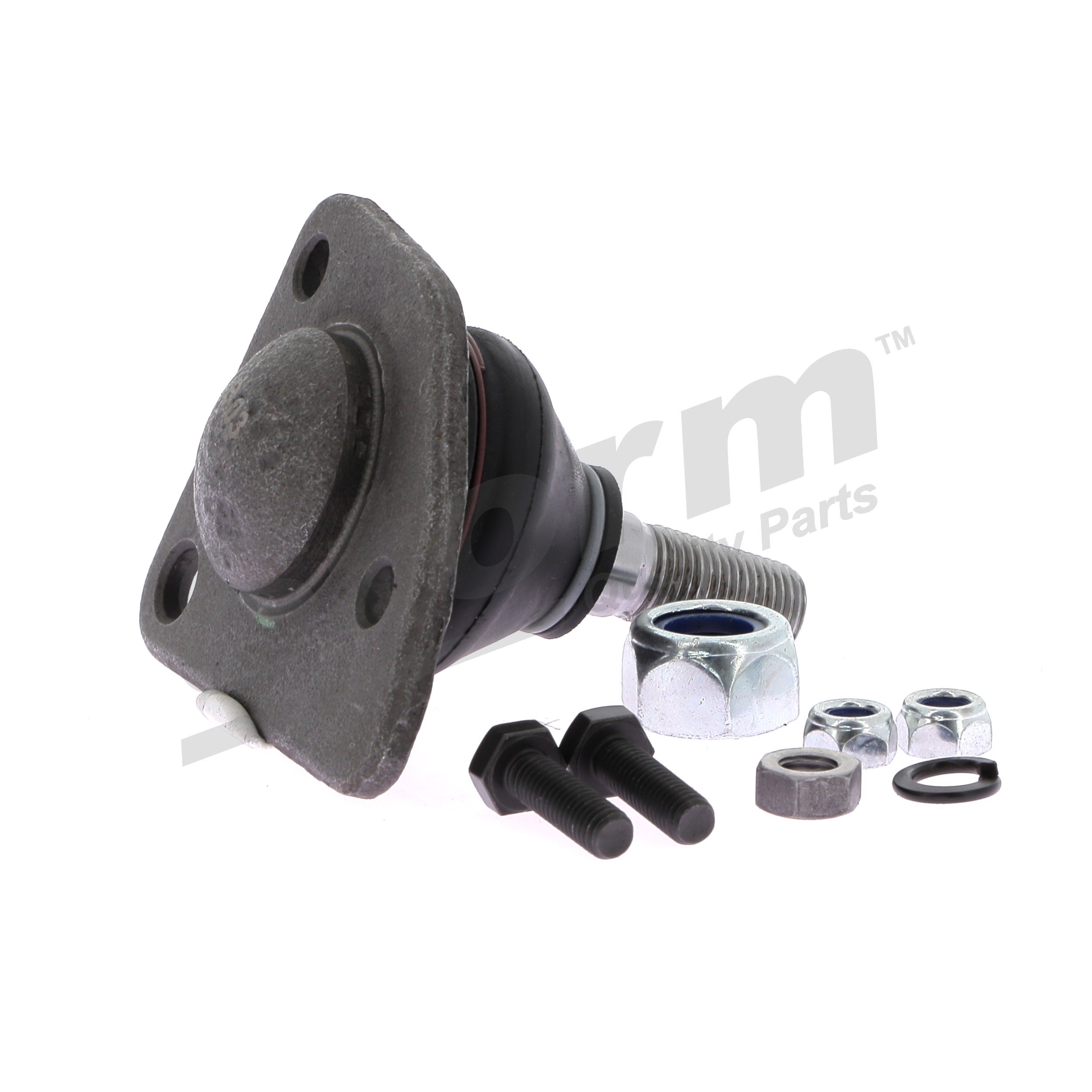 STORM QUALITY PARTS 88184 Šarnyras Renault 4 Universalas 0.7 20 AG benzinas 1970