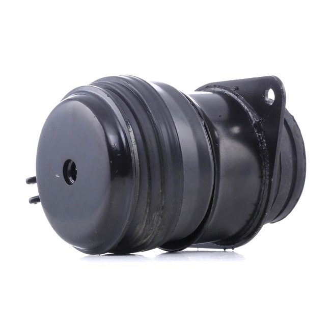 REINHOCH RH11-0107 Supporto motore posteriore e anteriore Golf 3 Cabrio originale prezzo