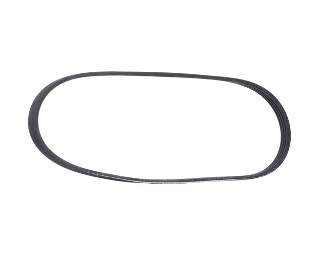 RIDEX 305P0548 multiriem 8200493939