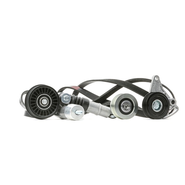 RIDEX 542R0691 Komplet rebrastega jermena Passat 3b5 1.9 TDI 101 km Dizel 2000