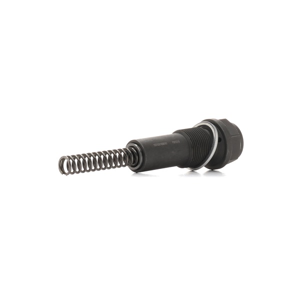 571T0066 RIDEX 1040500711 Steuerkettenspanner