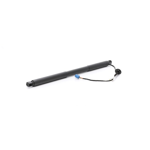 RIDEX A 166 890 11 30 Gasveer achterklep 219G1036