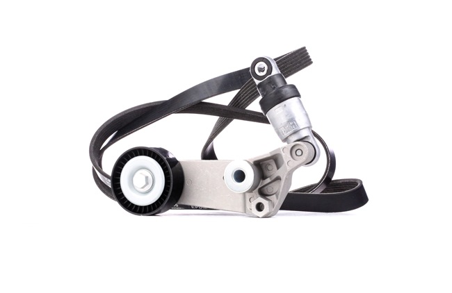 Poly V-riem set van SKF VKMA 61021 aan aanvaardbare prijs