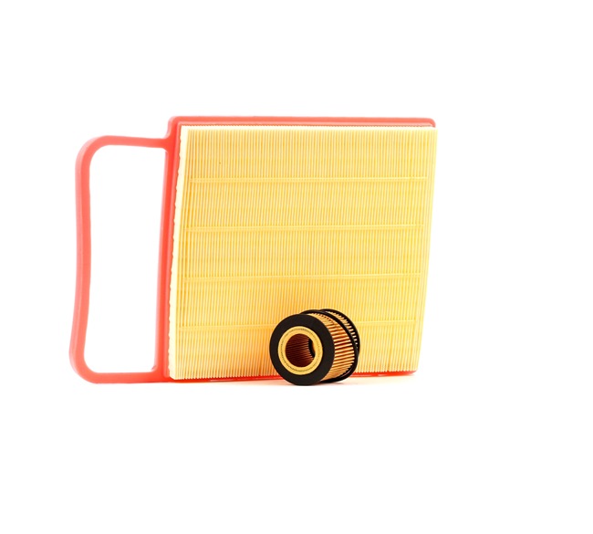 RIDEX 4055F1200 Filter - sada DACIA Jogger I MPV 1.0 TCe 110 (RKMD) 110 KS Benzín 2025