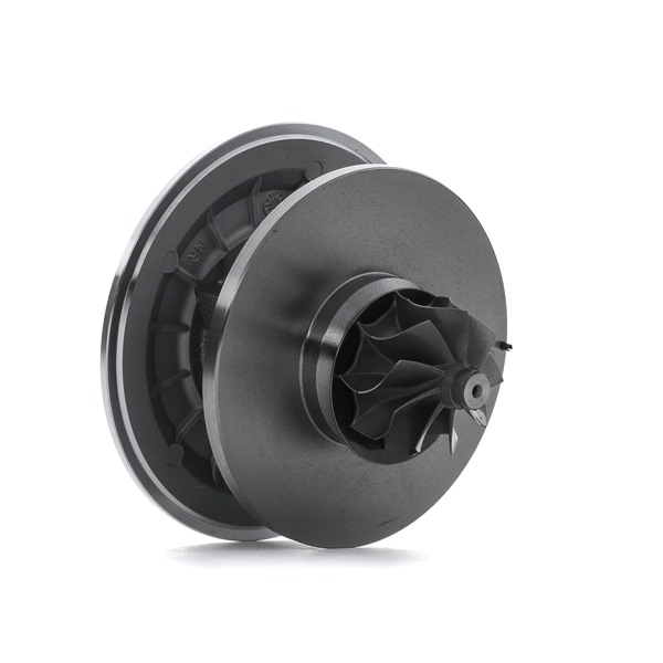 RIDEX 4973C0129 Plniace dúchadlo Nissan Primera Traveller W10