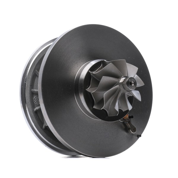 RIDEX 4973C0131 turbo patroon 093184472
