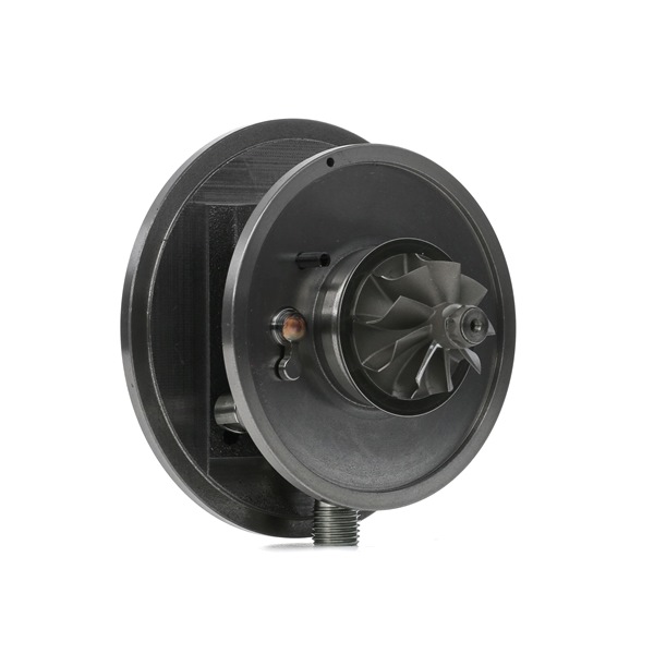 RIDEX 4973C0134 Turbokompresorius VW Passat B7 Variant 2.0 TDI 140 AG dyzelinas 2013