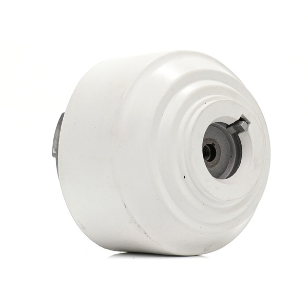 RIDEX 247E0755 motorsteunlager A203 241 13 13