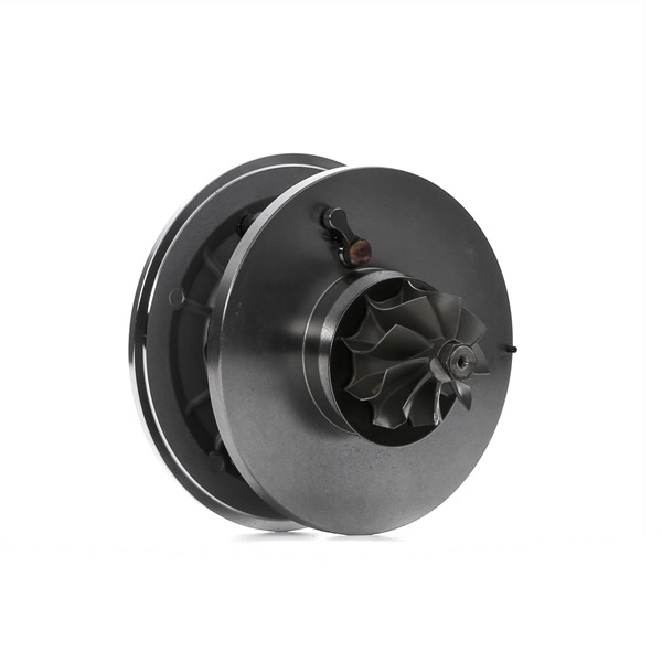 RIDEX 4973C0169 Turbokompresorius Jaguar X-Type Sedanas 2.0 D 130 AG dyzelinas 2005