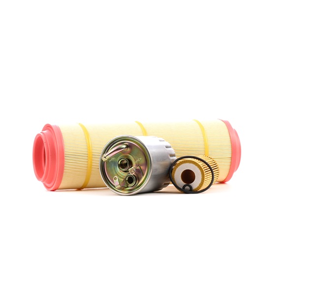 RIDEX 4055F8290 Calidad y precios justos
