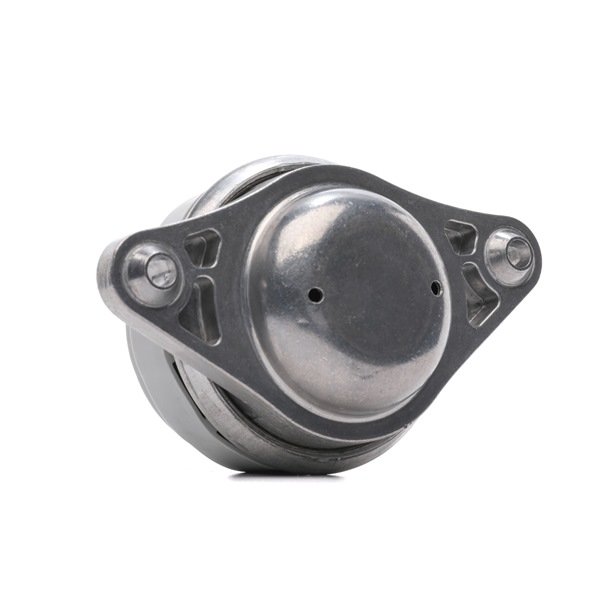 RIDEX A221 240 19 17 Ulożenie motora 247E0758