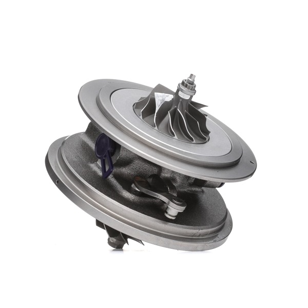 RIDEX 4973C0178 turbo patroon 7810190C02