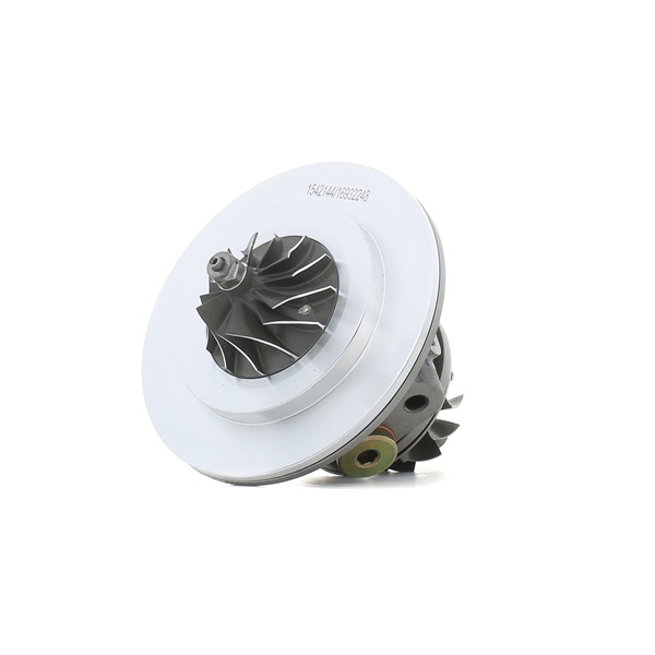 RIDEX 06A145713H Kjernegruppe, lader 4973C0204