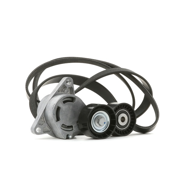 RIDEX 542R0712 Multiriem set OPEL Vivaro A Flatbed Vrachtwagen / Chassis (X83) 2.5 CDTI 146 Pk Diesel 2010