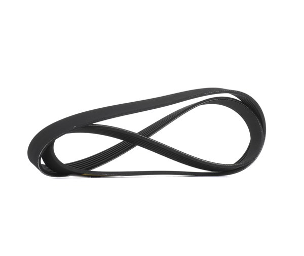 RIDEX 305P0556 Ιμάντας poly-V Mini F55 One First 1.5 (B38 A15 A) 75 PS Βενζίνη 2022