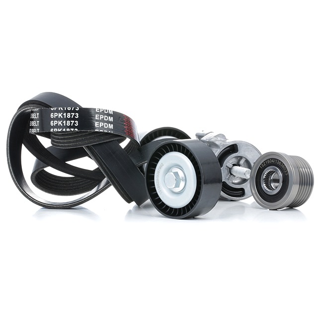 RIDEX 542R0715 poly v-riem set 7631810