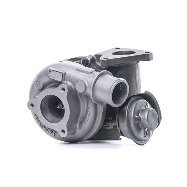 RIDEX REMAN 144112X900 Turbocharger 2234C0257R