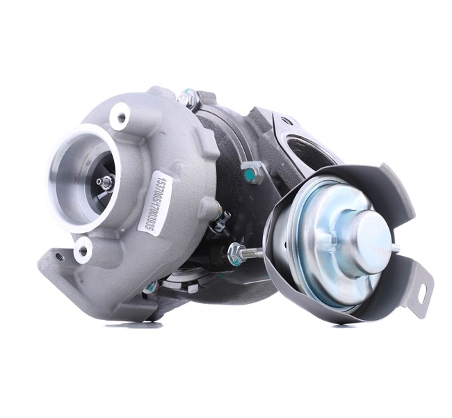 RIDEX 9661567680 Turbocharger 2234C10693
