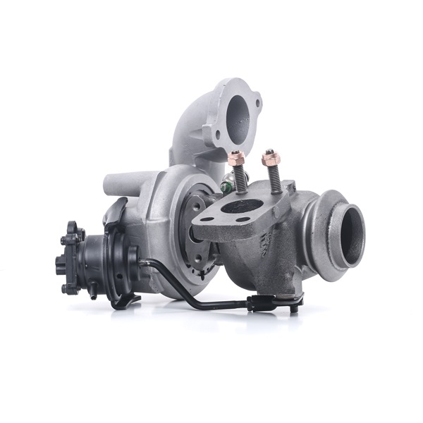 RIDEX REMAN 2234C10391R DS Turbolader Diesel und Benzin Kosten